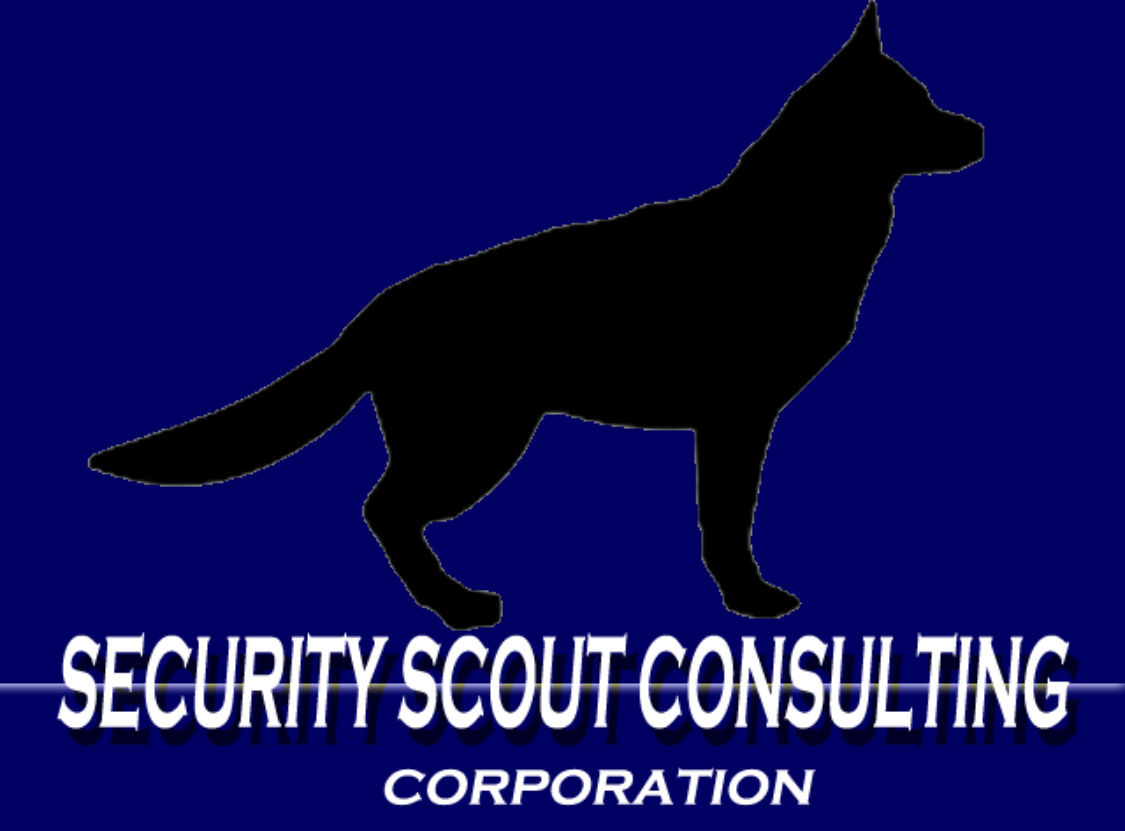 Security Scout Consulting